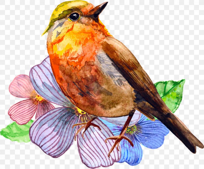 Watercolor Painting Vector Graphics Drawing Illustration, PNG, 838x693px, Watercolor Painting, Art, Beak, Bird, Can Stock Photo Download Free