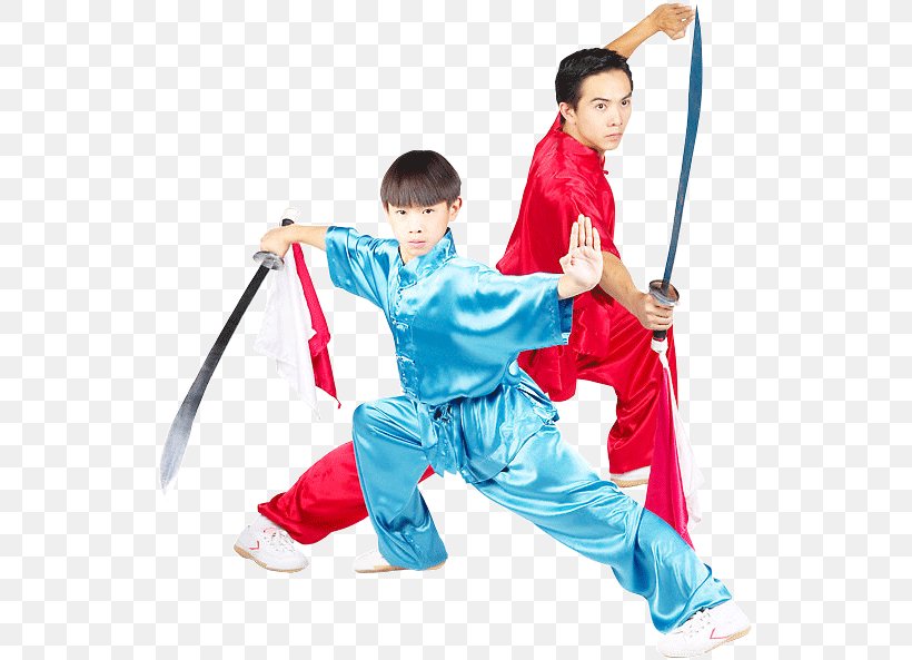 Wushu Dictionary Taolu Daido Juku Sport, PNG, 537x593px, Wushu, Child, Chinese Martial Arts, Costume, Daido Juku Download Free