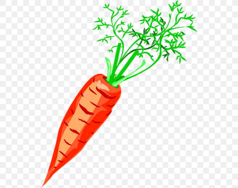 Carrot Clip Art Vegetable Drawing Soup, PNG, 540x650px, Carrot, Artwork, Cabbage, Cayenne Pepper, Child Download Free