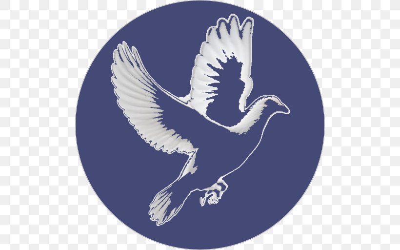 Eagle Peace Mawlid Beak Feather, PNG, 512x512px, Eagle, Beak, Bird, Bird Of Prey, Eid Alfitr Download Free