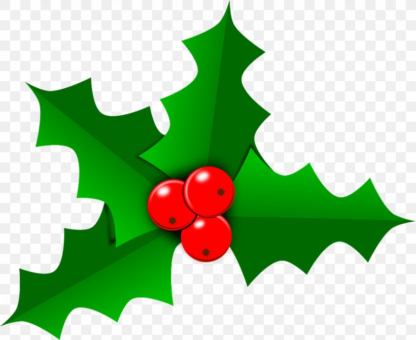 Holly, PNG, 880x720px, Holly, Christmas, Green, Leaf, Plant Download Free