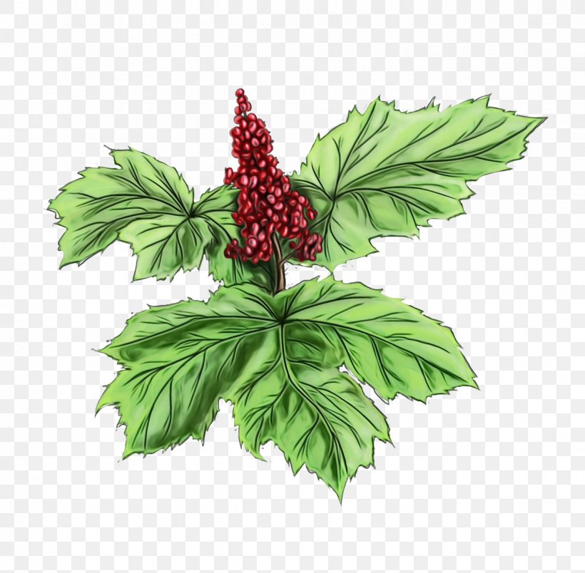 Leaf Cartoon, PNG, 1234x1210px, Strawberry, Berry, Flower, Fruit, Herb Download Free