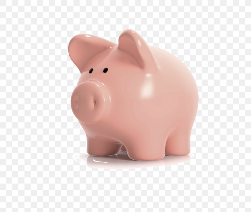 Piggy Bank Snout Product Design, PNG, 693x693px, Pig, Bank, Mammal, Nose, Pig Like Mammal Download Free