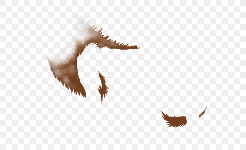Bald Eagle Bird Beak Accipitriformes, PNG, 640x500px, Eagle, Accipitriformes, Bald Eagle, Beak, Bird Download Free