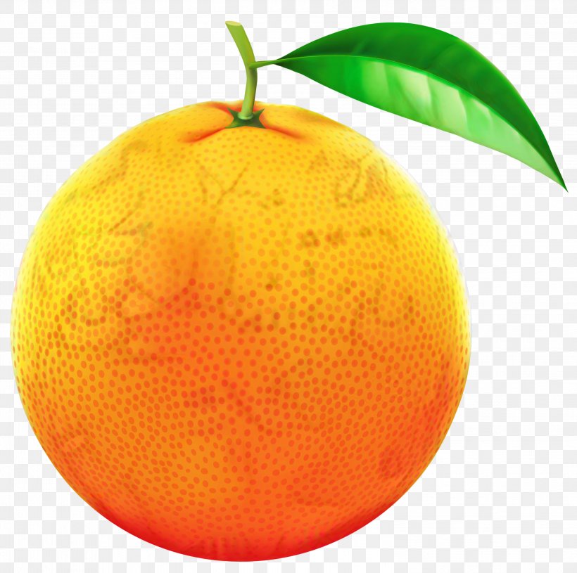 Clementine Mandarin Orange Tangerine Tangelo Blood Orange, PNG, 2996x2981px, Clementine, Accessory Fruit, Bitter Orange, Blood Orange, Citron Download Free