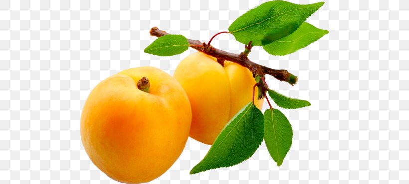 Juice Apricot Nectar Fruit, PNG, 500x369px, Juice, Acerola Family, Apple, Apricot, Auglis Download Free
