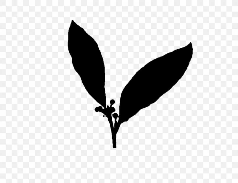 Logo Font Silhouette Desktop Wallpaper Leaf, PNG, 1600x1236px, Logo, Black, Black M, Blackandwhite, Botany Download Free
