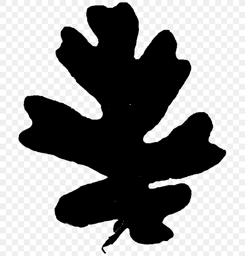 Tree Clip Art Flower Finger Silhouette, PNG, 704x856px, Tree, Blackandwhite, Finger, Flower, Flowering Plant Download Free