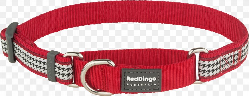 Dog Collar Dingo Martingale, PNG, 3000x1166px, Dog, Cat, Collar, Dingo, Dog Collar Download Free