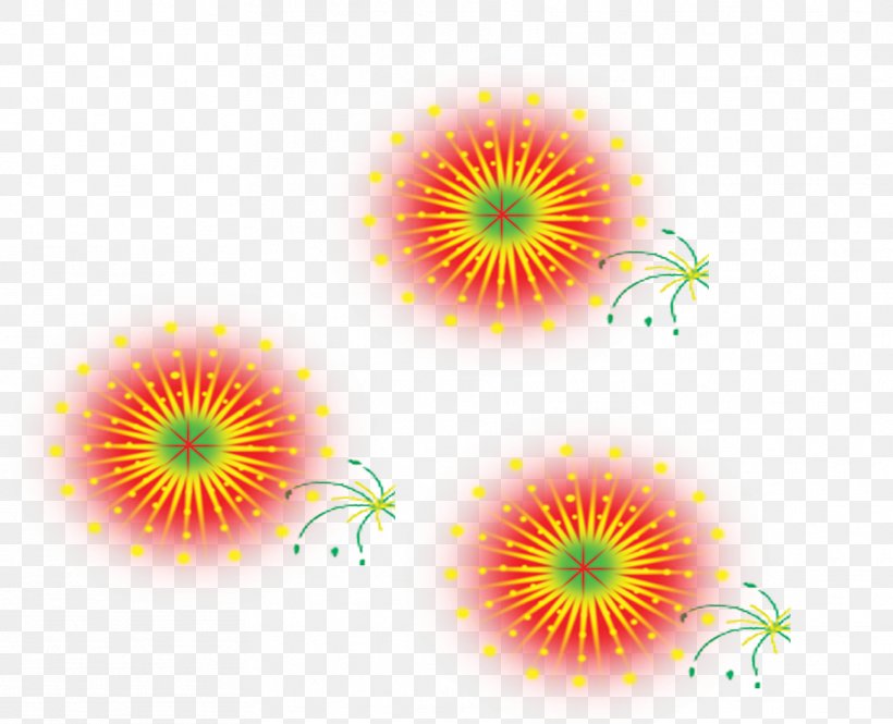 Fireworks Explosion, PNG, 1871x1519px, Fireworks, Daisy Family, Designer, Drawing, Explosion Download Free