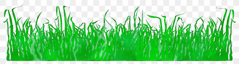 Green Grass Grass Family Plant, PNG, 2400x644px, Watercolor, Grass, Grass Family, Green, Paint Download Free