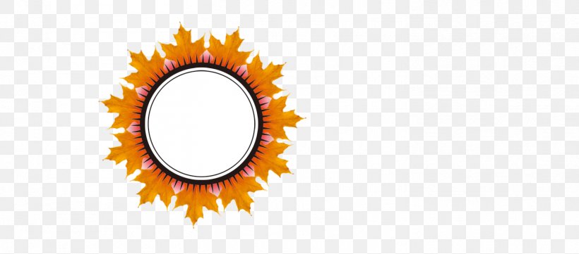 Mirror, PNG, 1469x648px, Mirror, Brand, Gratis, Orange, Picture Frame Download Free