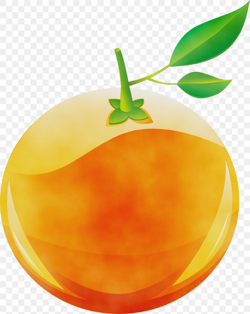 Orange, PNG, 2395x3000px, Watercolor, Food, Fruit, Leaf, Mandarin Orange Download Free