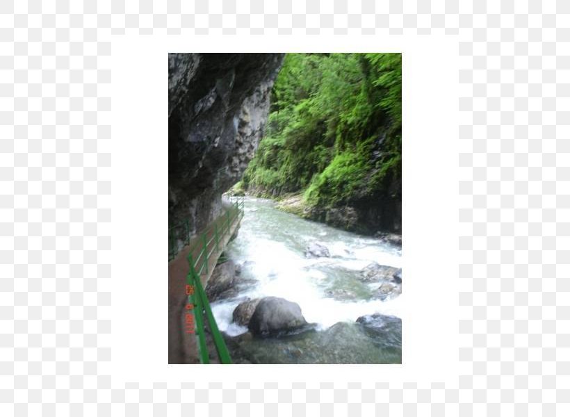 Water Resources Nature Reserve Waterfall Rainforest, PNG, 800x600px, Water Resources, Forest, Natural Resource, Nature, Nature Reserve Download Free