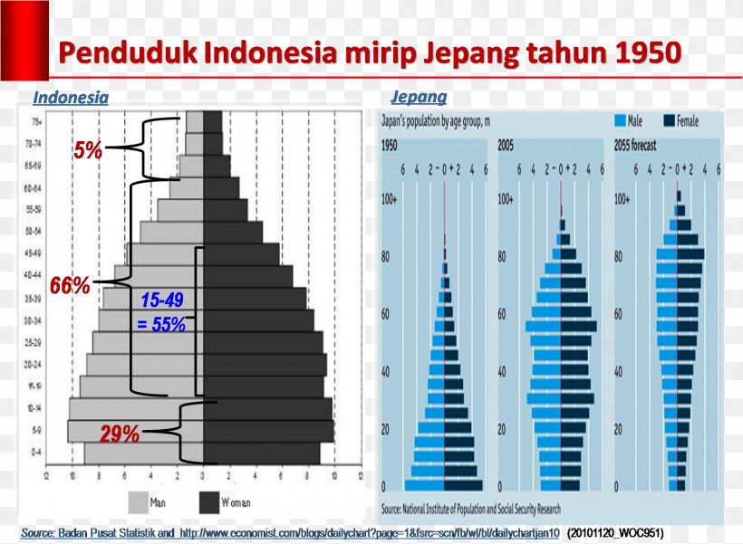 Japanese Occupation Of The Dutch East Indies Population Pyramid Demography, PNG, 1502x1102px, Japan, Brand, Country, Demography, Diagram Download Free