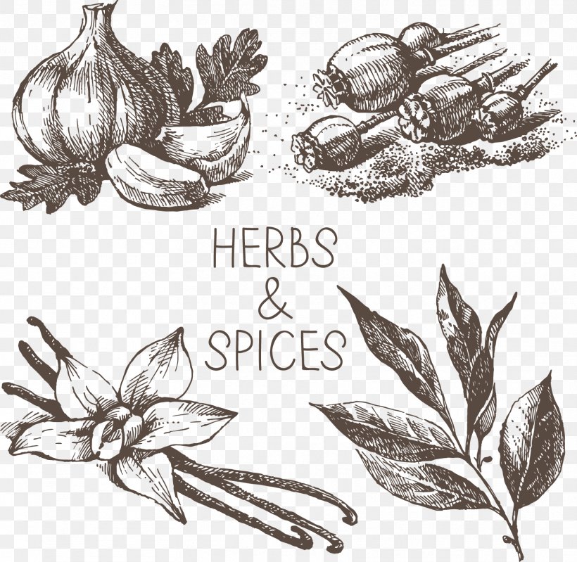 Drawing Royalty-free Clip Art, PNG, 1673x1631px, Drawing, Artwork, Black And White, Flower, Food Download Free