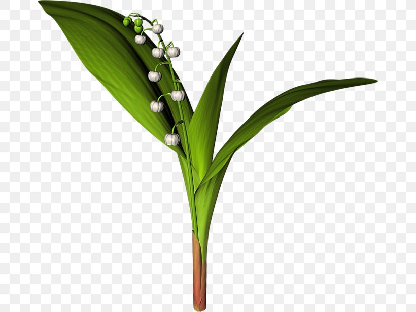 Antique Decorative Accessories Picture Material, PNG, 670x616px, Flower, Grass, Grass Family, Leaf, Plant Download Free