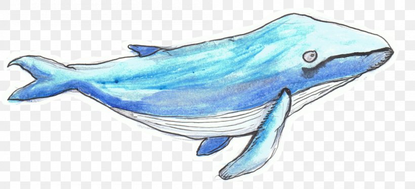 Common Bottlenose Dolphin Rough-toothed Dolphin Tucuxi Animal Alphabet Adventures Cetaceans, PNG, 1000x458px, Common Bottlenose Dolphin, Animal, Animal Figure, Artwork, Bottlenose Dolphin Download Free