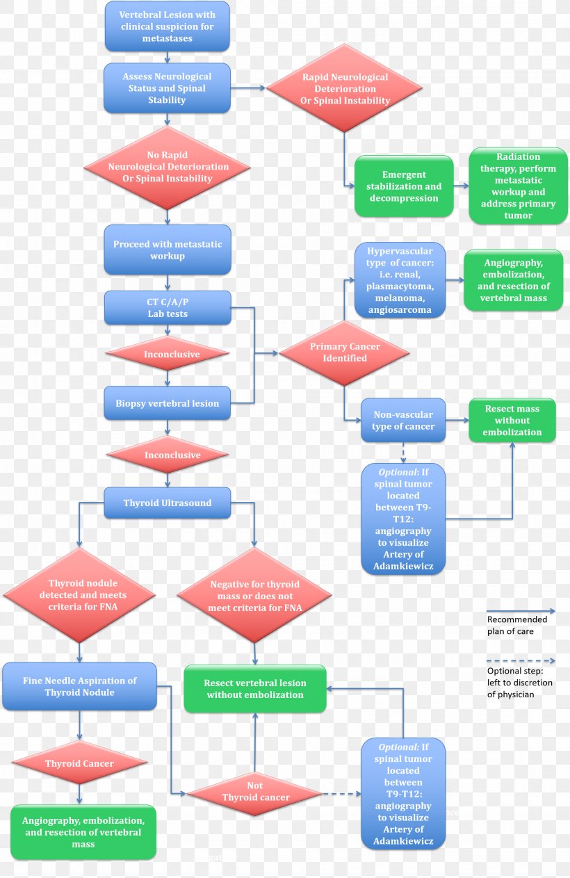 Human Vertebral Column Metastasis Flowchart Spinal Tumor, PNG, 1940x2989px, Vertebral Column, Algorithm, Bone Metastasis, Cancer, Diagram Download Free