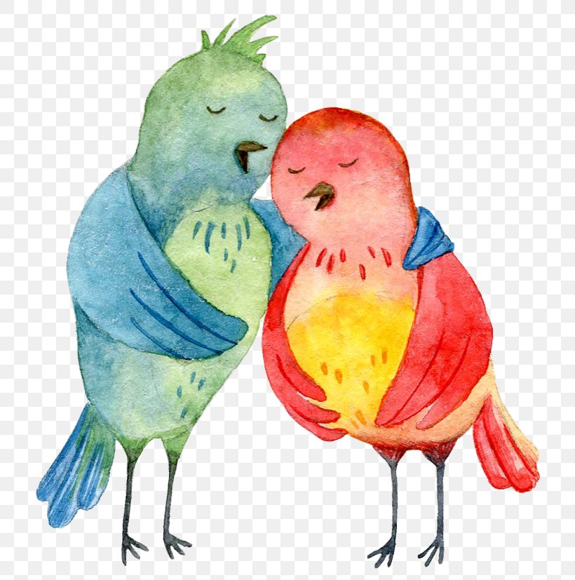 Lovebird Feather Watercolor Painting Illustration, PNG, 734x827px, Bird, Art, Beak, Bird Supply, Blue Download Free