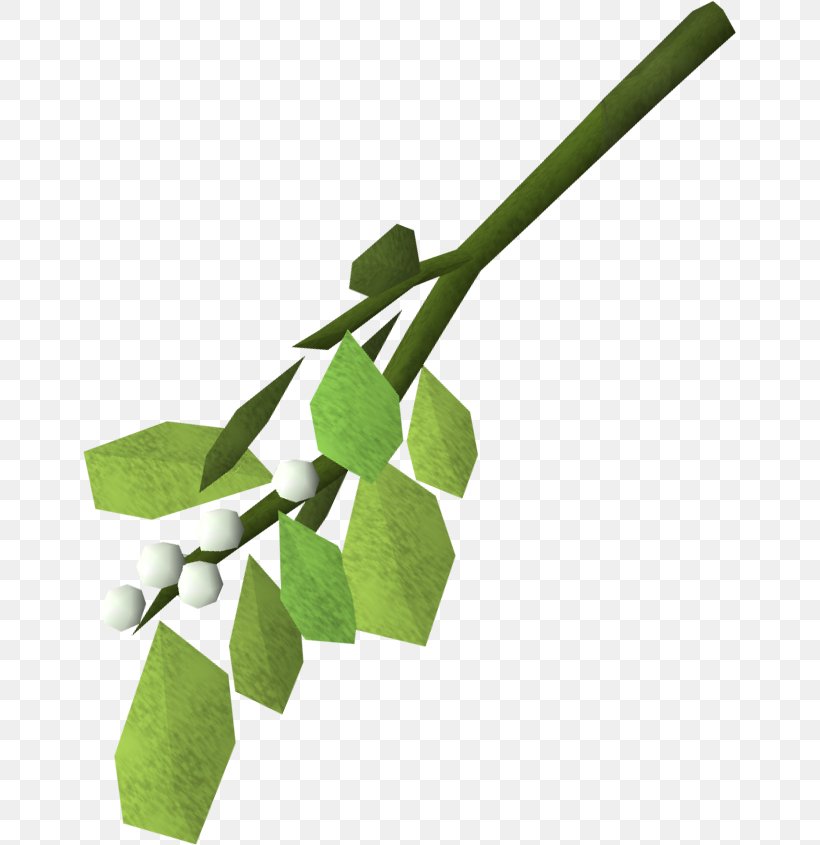Mistletoe RuneScape Phoradendron Tomentosum Plant Kiss, PNG, 654x845px, Mistletoe, Branch, Christmas, Game, Jagex Download Free