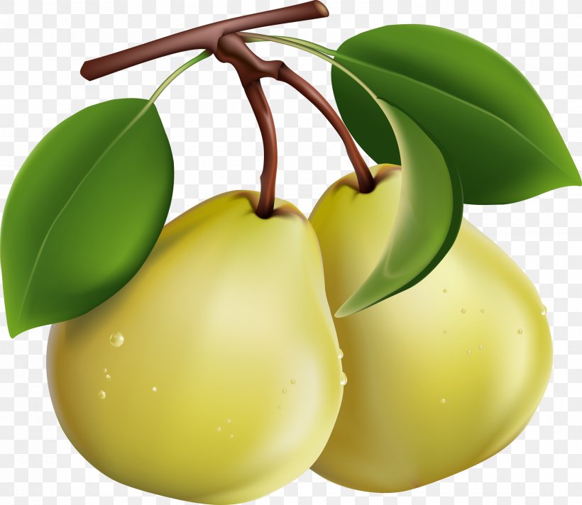 Pear Fruit Salad Computer File, PNG, 2500x2173px, Asian Pear, Apple, Citrus, Food, Fruit Download Free