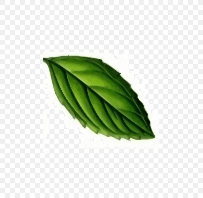 Peppermint Clip Art Openclipart Mint Leaf, PNG, 566x800px, Peppermint, Apple Mint, Leaf, Mint, Mint Leaf Download Free