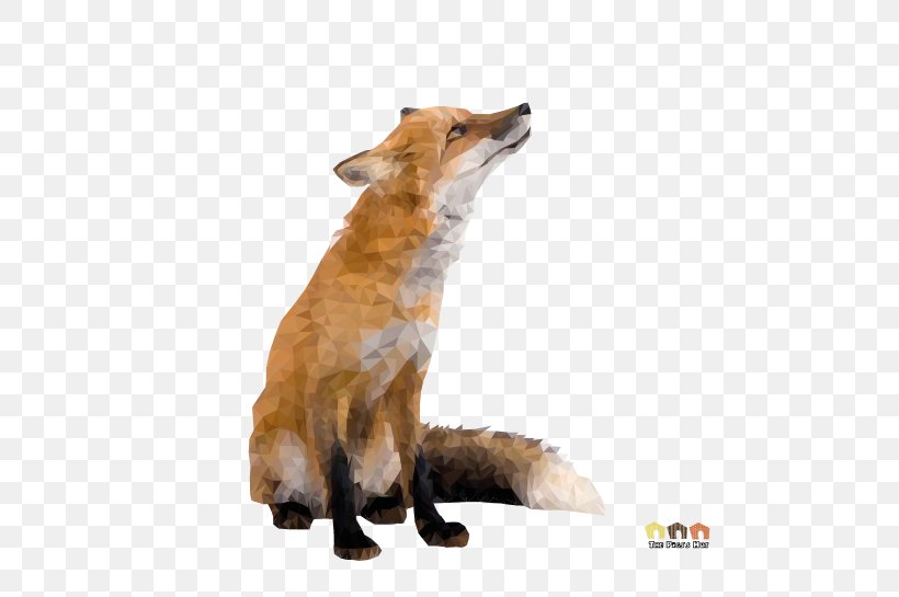 Red Fox Stock Photography Animal, PNG, 577x545px, Red Fox, Animal, Carnivoran, Dog Breed, Dog Breed Group Download Free