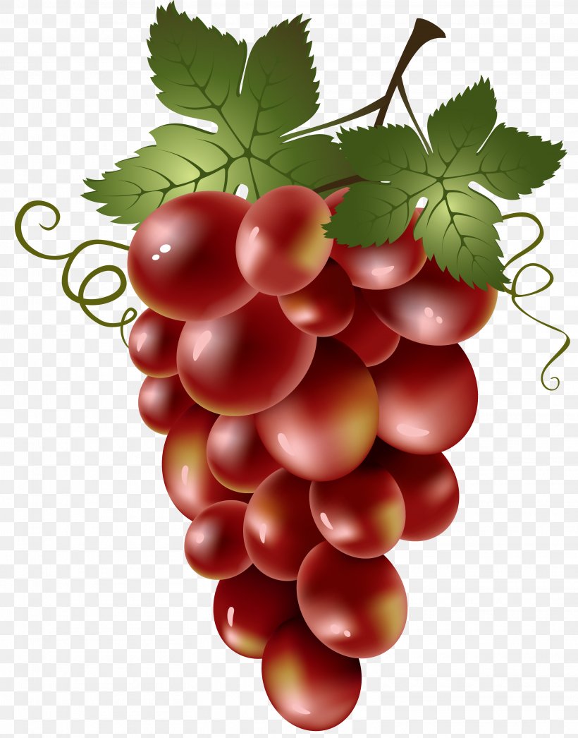 Red Wine Common Grape Vine Clip Art, PNG, 3135x4000px, Red Wine, Berry, Can Stock Photo, Cherry, Common Grape Vine Download Free