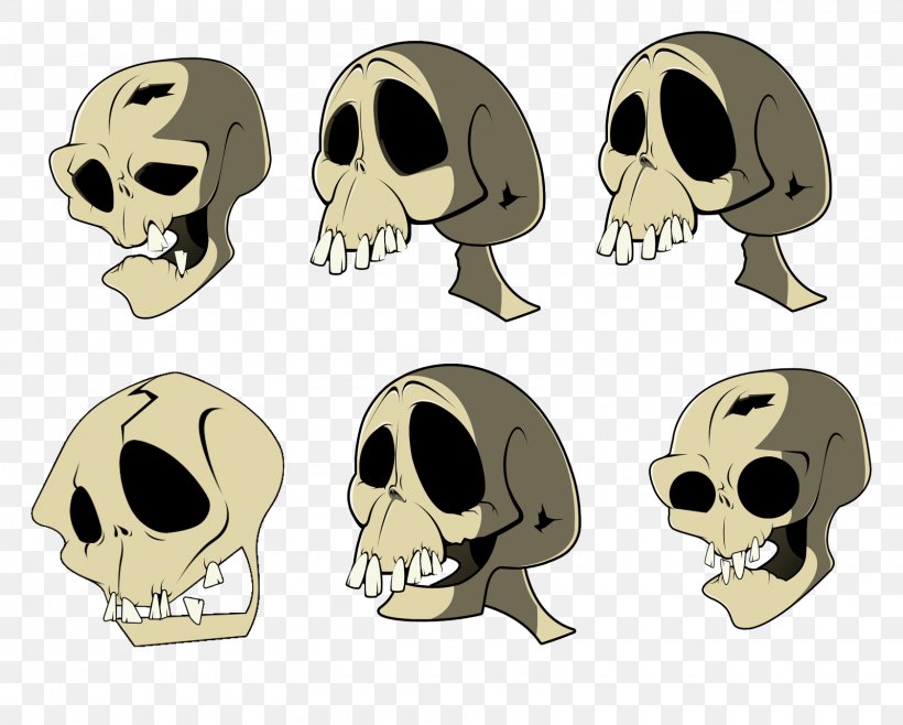 Snout Skeleton Jaw Skull, PNG, 1600x1284px, Snout, Animated Cartoon, Bone,  Face, Head Download Free