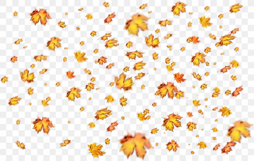 Watercolor Flower Background, PNG, 1600x1014px, Watercolor, Adobe, Autumn, Autumn Leaf Color, Chamomile Download Free