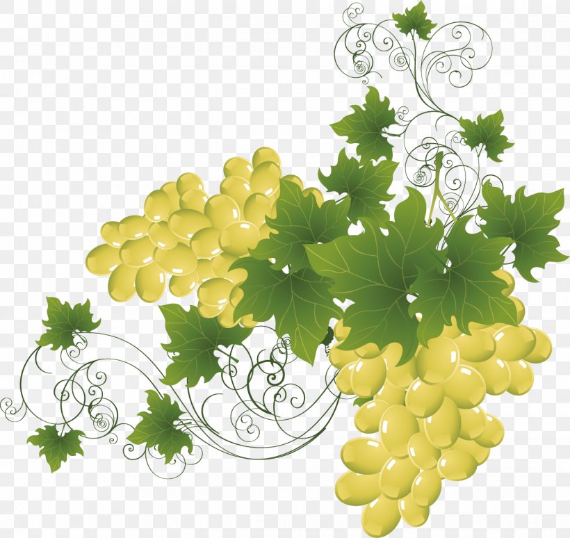 Wine Adobe Illustrator Grape Clip Art, PNG, 1341x1266px, Wine, Bottle, Coreldraw, Floral Design, Flowering Plant Download Free