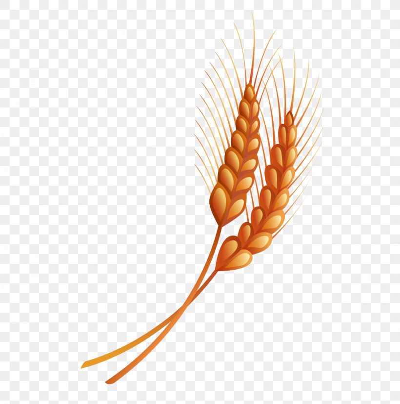 Drawing, PNG, 1240x1251px, Drawing, Cartoon, Commodity, Food Grain, Grass Family Download Free