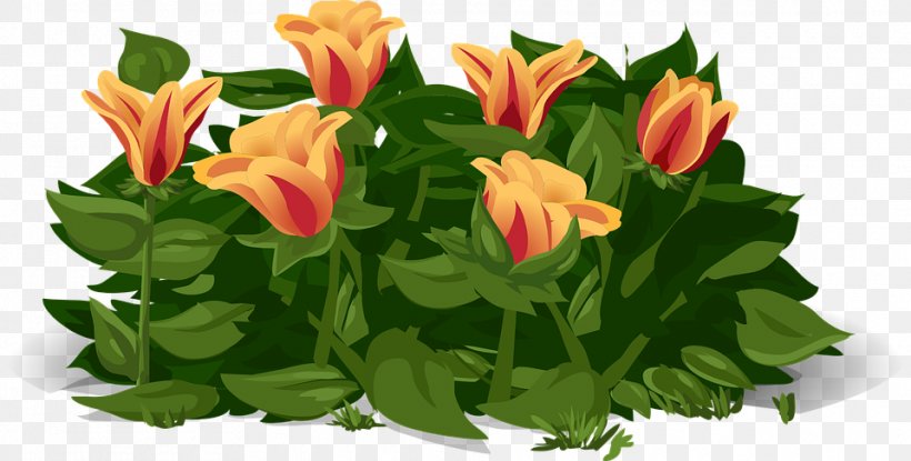 Tulip Flower Plant, PNG, 960x486px, Tulip, Cut Flowers, Floristry, Flower, Flowering Plant Download Free