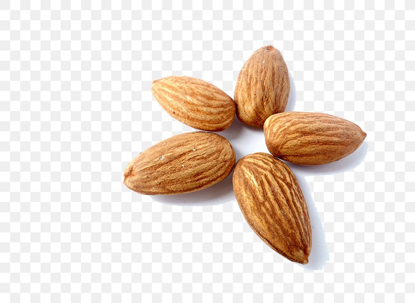 Almond Milk Nut Peel Eating, PNG, 800x600px, Almond Milk, Almond, Almond Oil, Commodity, Eating Download Free