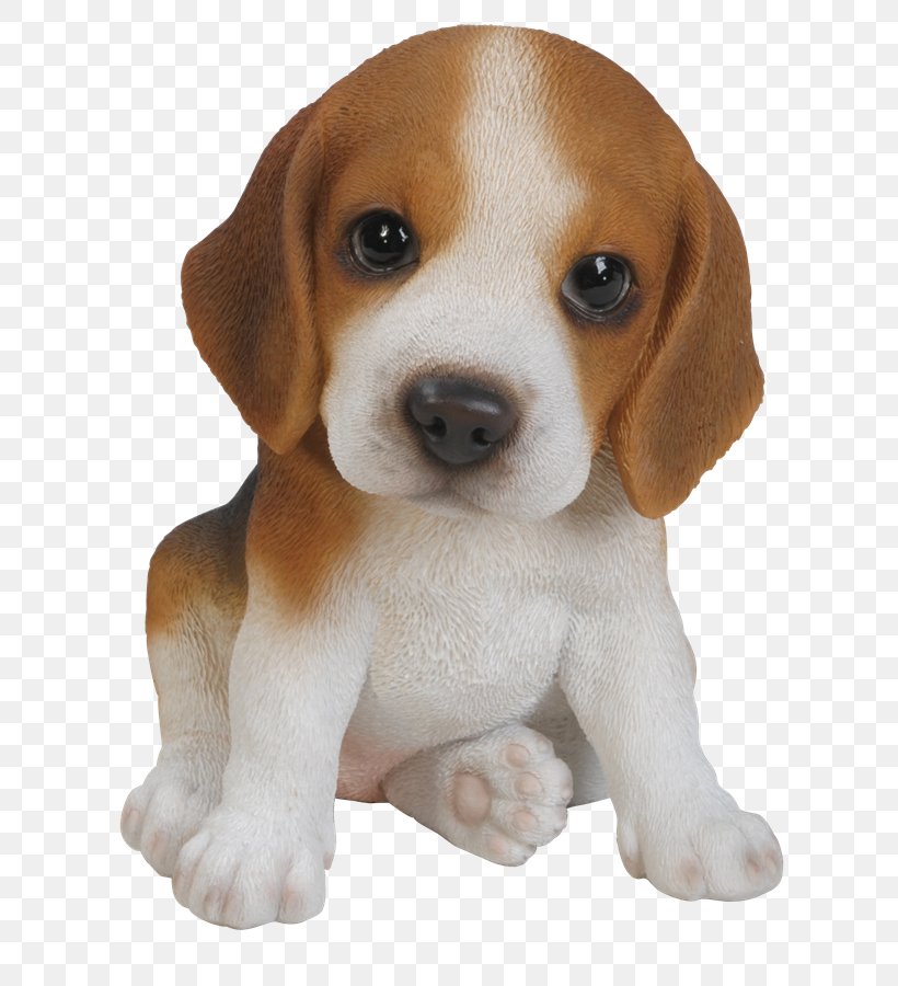 Beagle Puppy Harrier Yorkshire Terrier Pug, PNG, 709x900px, Beagle, Beagle Harrier, Breed, Carnivoran, Chihuahua Download Free