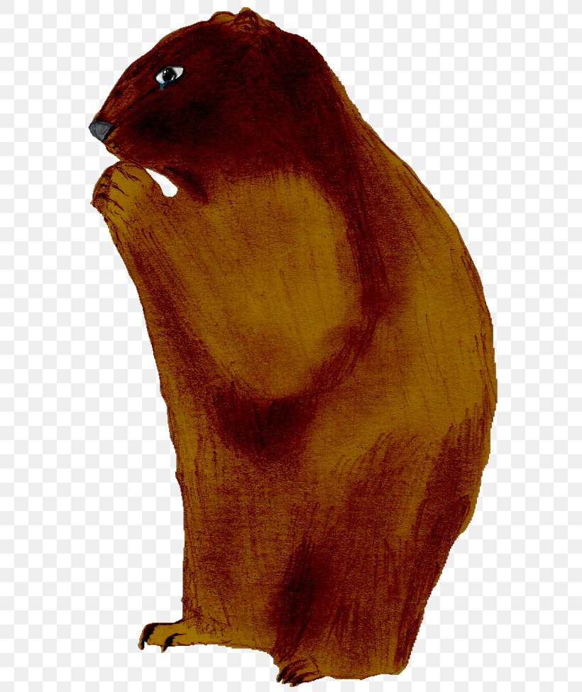 Beaver Marmot Fur Beak Snout, PNG, 613x975px, Beaver, Beak, Bear, Carnivoran, Fauna Download Free