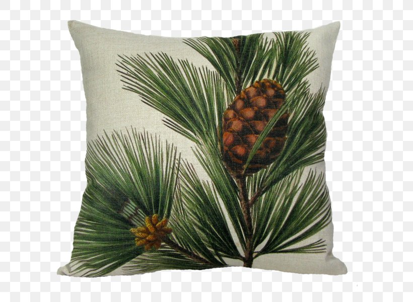 Throw Pillows Cushion Down Feather Slipcover, PNG, 600x600px, Throw Pillows, Conifer, Conifer Cone, Conifers, Cushion Download Free