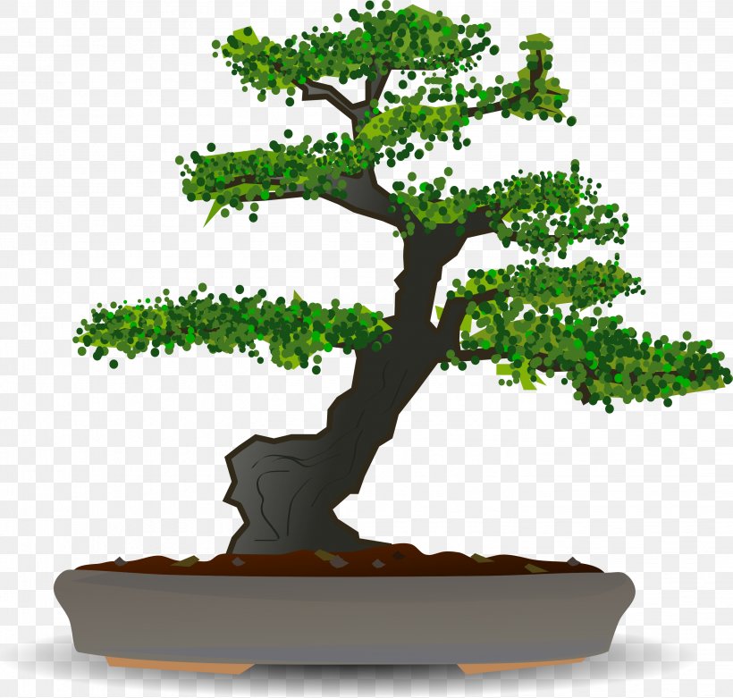 Bonsai Tree Sageretia Theezans Clip Art, PNG, 2886x2749px, Bonsai, Flowerpot, Houseplant, Plant, Royaltyfree Download Free