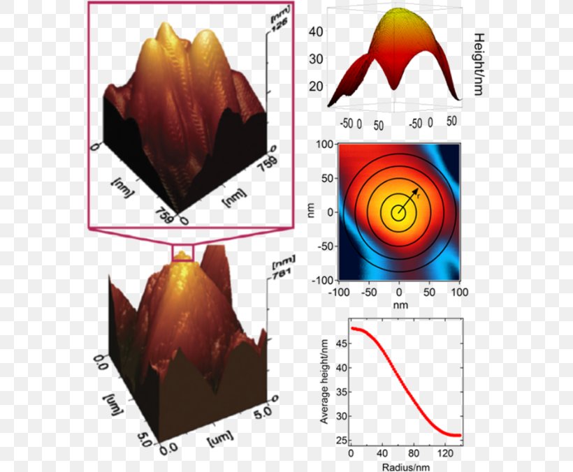 Cantilever Colloidal Probe Technique Measurement Force Graphics, PNG, 571x676px, Cantilever, Adhesion, Atom, Atomic Force Microscopy, Colloid Download Free