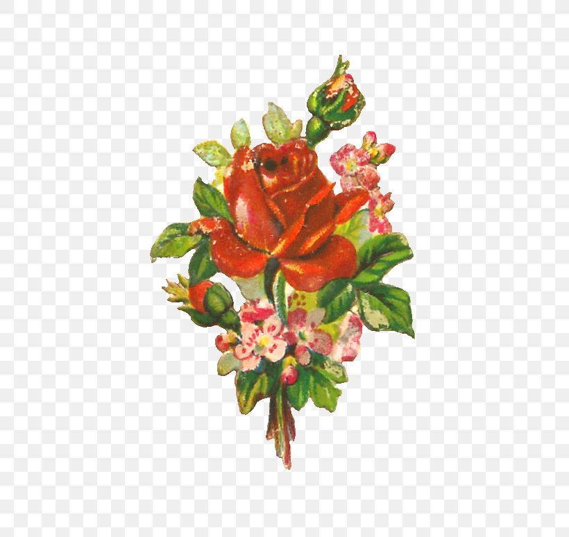 Garden Roses Flower Floral Design Clip Art, PNG, 586x774px, Garden Roses, Artificial Flower, Black Rose, Blume, Cut Flowers Download Free