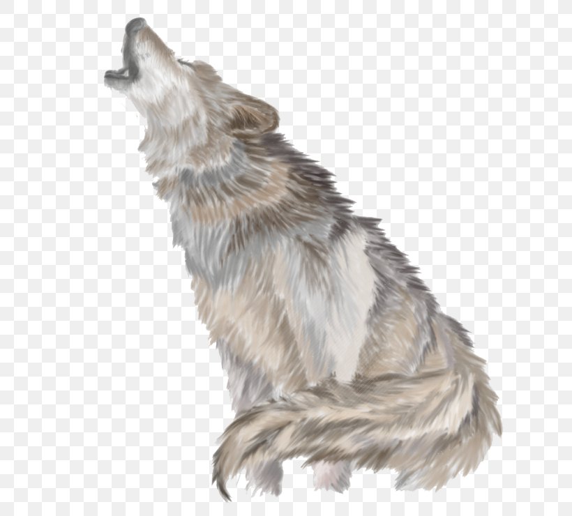 Gray Wolf Clip Art, PNG, 713x740px, Dog, African Wild Dog, Aullido, Canidae, Carnivoran Download Free