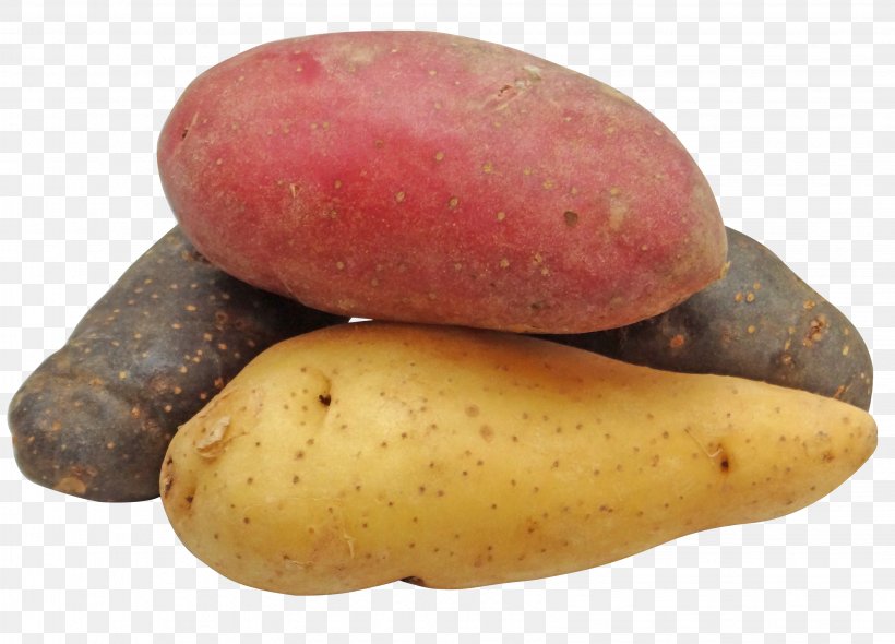 Mashed Potato Sweet Potato Food Nutrition Facts Label, PNG, 3264x2352px, Mashed Potato, Fingerling Potato, Fish, Food, Maize Download Free