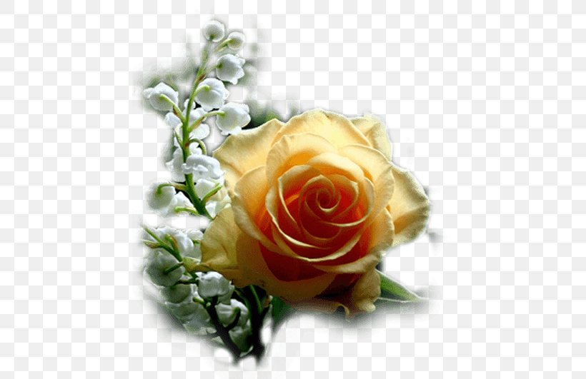 Rose Desktop Wallpaper Flower, PNG, 450x531px, Rose, Color, Common Daisy, Cut Flowers, Floral Design Download Free
