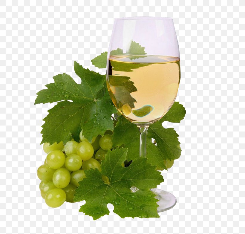 Cantabrian Sea Albarixf1o Wine Marmalade, PNG, 751x783px, Cantabrian Sea, Albacore, Anchovy, Ansjosfamilien, Cantabria Download Free
