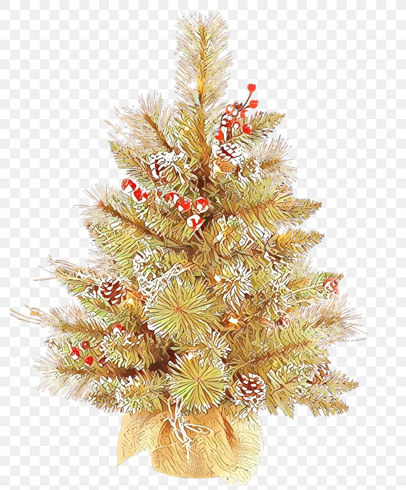 Christmas Tree, PNG, 798x989px, Christmas Tree, Christmas Decoration, Christmas Ornament, Colorado Spruce, Holiday Ornament Download Free