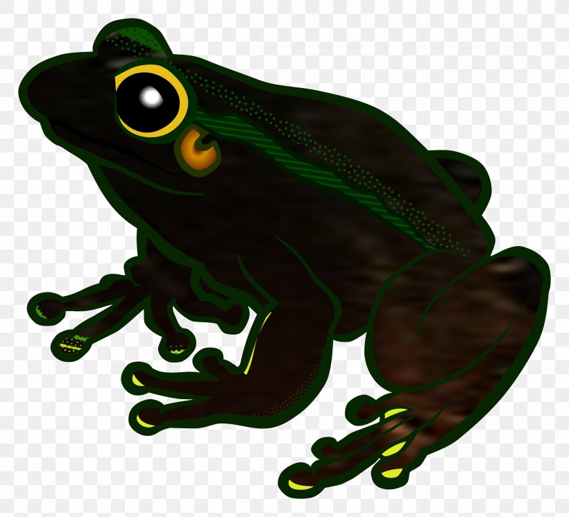 Frog Clip Art Vector Graphics Free Content, PNG, 2400x2185px, Frog, Amphibian, Australian Green Tree Frog, Organism, Public Domain Download Free