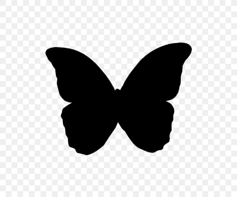 Butterfly Drawing, PNG, 573x680px, Butterfly, Black, Black And White, Bow Tie, Drawing Download Free