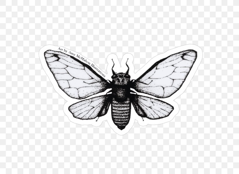 Butterfly Sticker Decal Cicadoidea Fly Fishing, PNG, 600x600px, Butterfly, Arthropod, Black And White, Cicadoidea, Decal Download Free