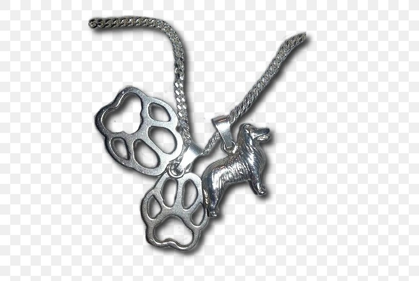 Charms & Pendants Necklace Silver Body Jewellery Chain, PNG, 540x550px, Charms Pendants, Body Jewellery, Body Jewelry, Chain, Fashion Accessory Download Free